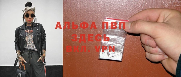 дмт Дмитриев