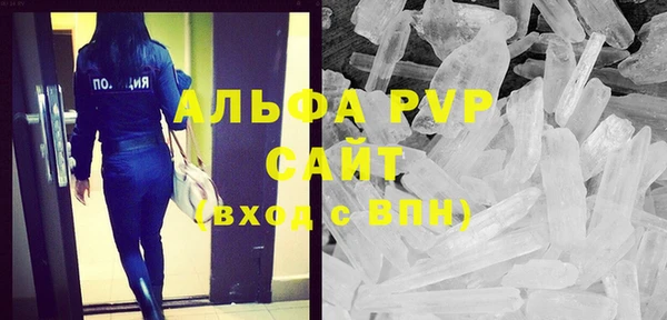 дмт Дмитриев