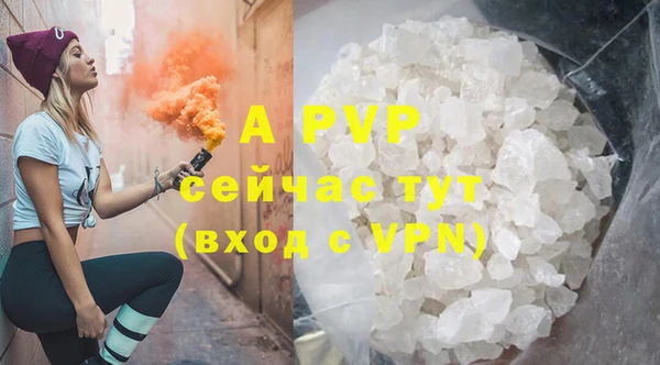 дмт Дмитриев